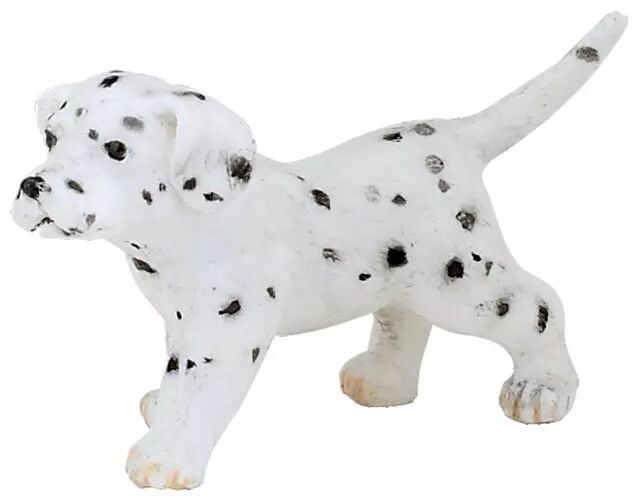 Bebe Dalmatien