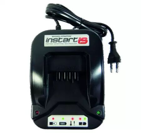 Chargeur pour batterie Briggs & Stratton