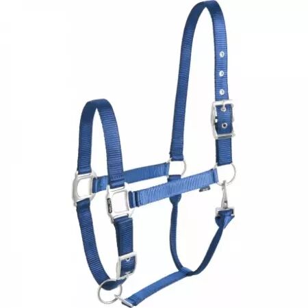 Licol EQUITHÈME ÉCLAT  bleu, Taille : cheval