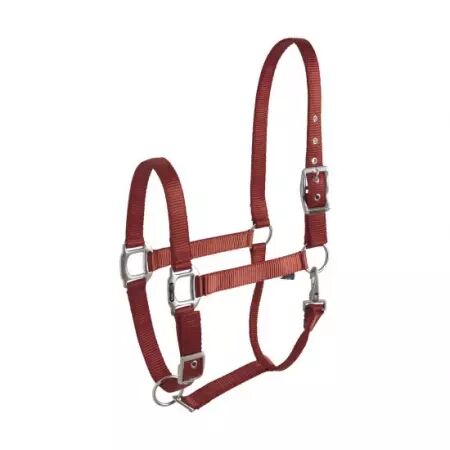 Licol EQUITHÈME ÉCLAT  bordeaux , Taille : cheval