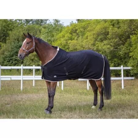 Licol EQUITHEME polyfun marine taille poney