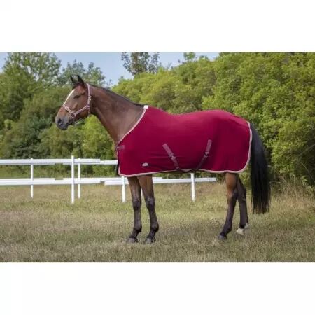 Licol EQUITHEME polyfun bordeaux  taille pur-sang