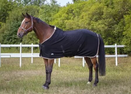 Licol EQUITHEME polyfun marine taille cheval