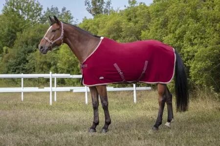 Licol EQUITHEME polyfun bordeaux  taille cheval