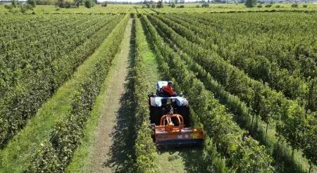 Matriel de viticulture - arboriculture - maraichage BERTI