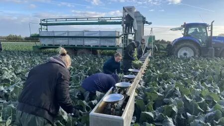 Pareuse mobile DELECROIX HARVESTING