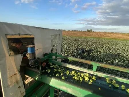 Pareuse mobile DELECROIX HARVESTING