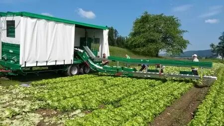 Tapis de récolte repliable DELECROIX HARVESTING