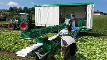 Tapis de récolte repliable DELECROIX HARVESTING