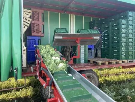 DELECROIX HARVESTING