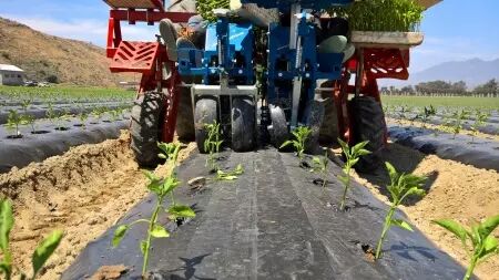 Planteuse FERRARI GROWTECH