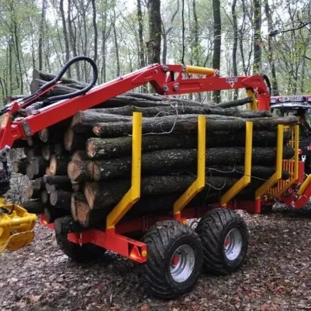 Grue forestire Rabaud