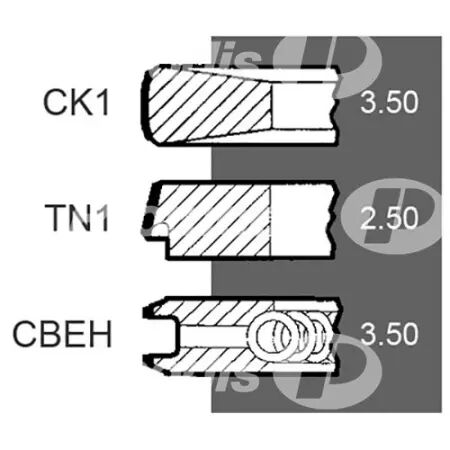 Jeu de segments d.100 mm adaptable Case Ih, Claas, JCB, Landini, Massey Ferguson, Mc Cormick