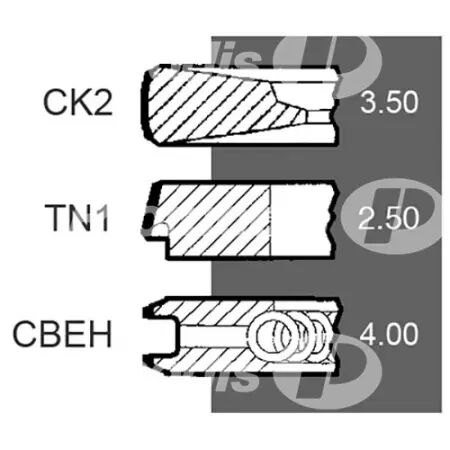 Jeu de segments d.100 mm adaptable Claas, JCB, Landini, Massey Ferguson