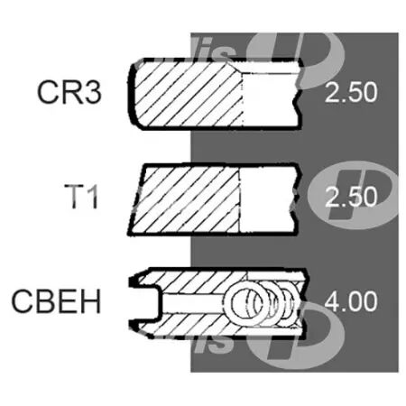 Jeu de segments d.100 mm adaptable Claas, JCB, Landini, Massey Ferguson