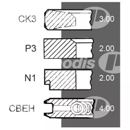 Jeu de segments d.100 mm adaptable Fendt