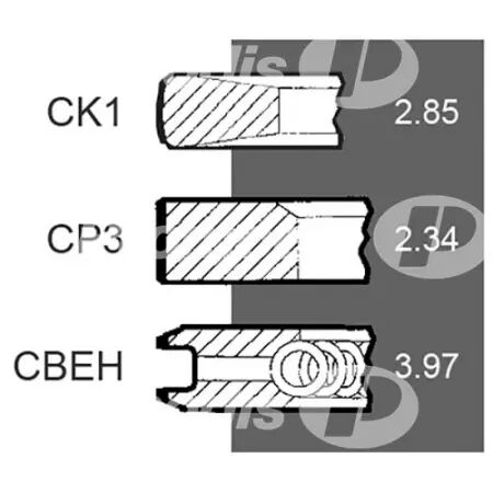 Jeu de segments d.101.80 mm adaptable Case Ih