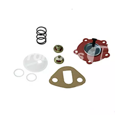 Kit de réparation pompe d\'alimentation adaptable Case Ih/Claas/Renault/Ford/JCB/Landini/Massey Ferguson/Merlo