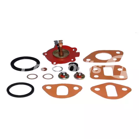 Kit de réparation pompe d\'alimentation adaptable Landini/Massey Ferguson