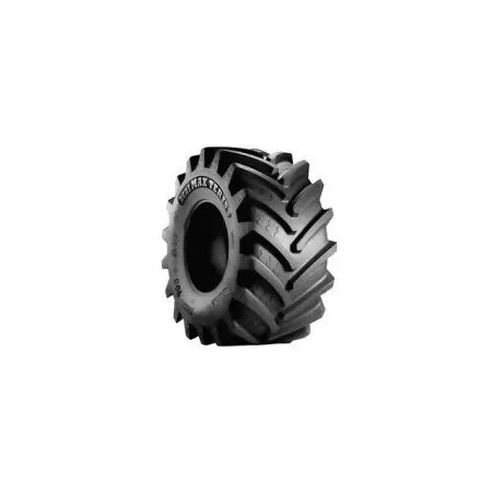 Pneu 620/75r26 agrimax teris cho 166a8/b